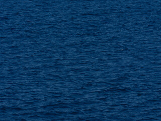 Graceful ocean waves