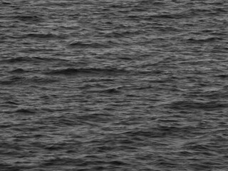 Graceful ocean waves