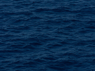 Graceful ocean waves