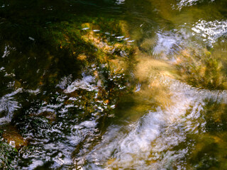 Long exposure image of the river in the forest