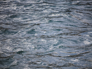 Graceful ocean waves