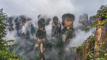 Incredible misty mountain landscape. The tall rock pillars are shrouded in fog. Peaks in the clouds. Green vegetation on steep slopes. China. Zhangjiajie National Forest Park. Avatar