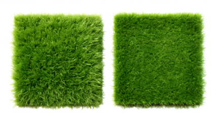 Two Square Patches of Artificial Grass on Transparent Background