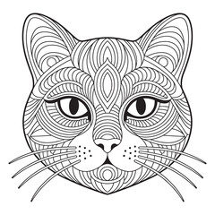 Obraz premium black and white cat face