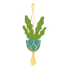 Macrame Plant Hangers with Green Plants in Pots for Home Decor, Interior Design, and Boho Style Modern Indoor Gardening Ideas for Apartments and Living Rooms.