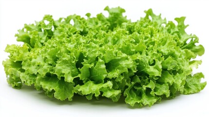 Fresh crisp lettuce ready to eat.