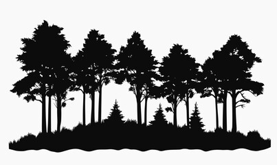 Fototapeta premium Silhouette of Pine Trees Forest Landscape with Grass Understory in Minimalist Black and White Vector Style Nature Outdoors