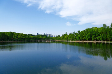 lake and trees at East Lake scenic area in Wuhan,Hubei,China