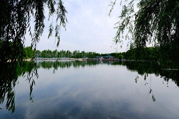 Wuhan East Lake scenic area, calm water with reflections of trees in China