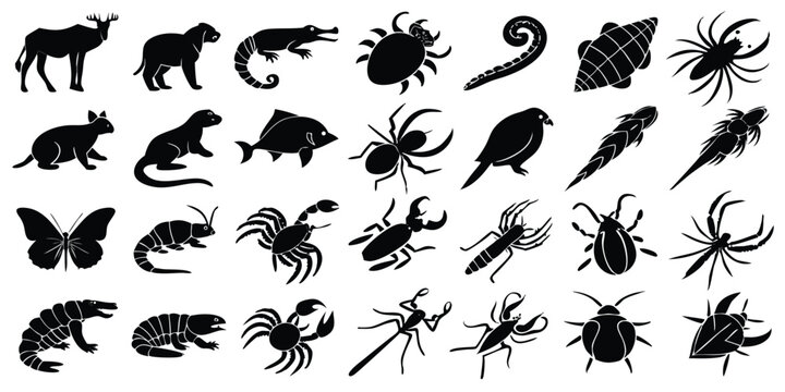 Silhouette illustrations of various animals including insects spiders and birds in a monochrome black and white style