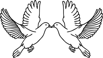 vector illustration of a pair of doves, isolated on white