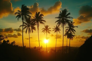 Naklejka premium Stunning timelapse of sunset with palm trees silhouetted against a colorful sky, A beautiful time lapse sunset with the sun setting behind a row a tall palm trees