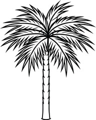 Obraz premium Botanical line drawing of butia capitata palm tree detailed tropical foliage vector illustration, Butia capitata palm botanical line art, Tropical palm tree sketch, Elegant botanical palm vector