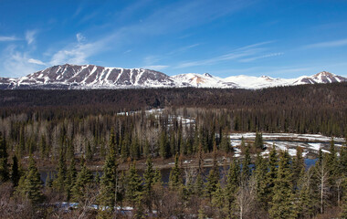 Mountains behind trees and river on Denali Highway
