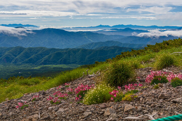 夏の乗鞍岳登山