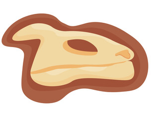 Archeology & Paleontology Tools and Discoveries Equipment Vector Collection