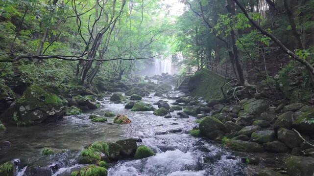 涼しい日本の滝