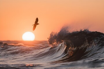sunset on the beach