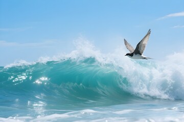 seagull in waves