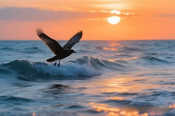 sunset in the ocean with bird view