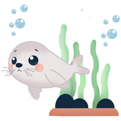Little seal
