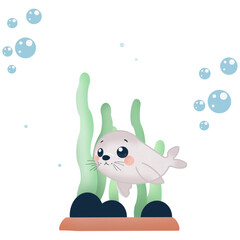 Little seal