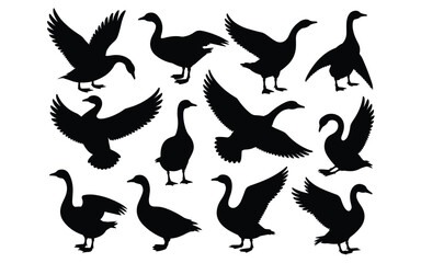 Duck Silhouette Pose Set &ndash; Graceful Bird Movements for Nature, Education & Seasonal Design