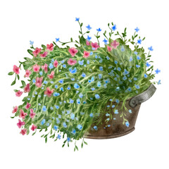 Watercolor illustration of Bouquet of multicolored decorative flowers. Lush red and blue flowers in a basket. For flower shops, printing on postcards, greeting cards, business cards, etc.