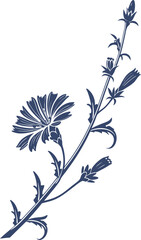 Chicory flower stem silhouette.