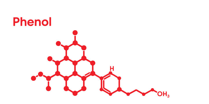 Red phenol molecule structure diagram with atoms and bonds on a white background illustration