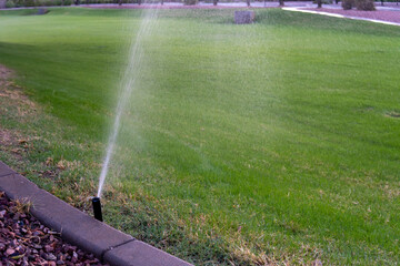Water sprinkler in the garden. Sprinkler irrigation system