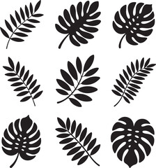 Nine Black Tropical Leaves Silhouettes on White Background