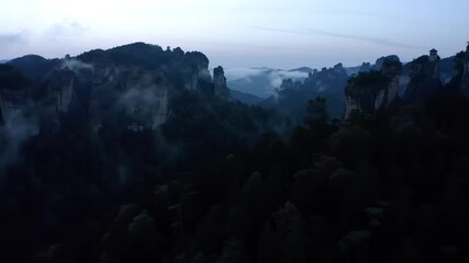 Rolling mountain range covered in thick forest under cool misty light.