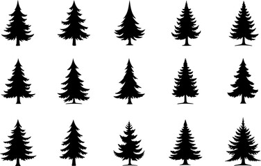 Naklejka premium : Pine Tree Trio vector bundle