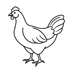 Simple line drawing of a chicken standing