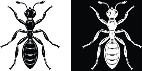 Striking Detailed Ant Insect Creature Monochrome Isolated on Split Background © merry