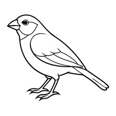 Simple line drawing of a small bird