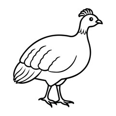 Obraz premium Simple line drawing of a guinea fowl