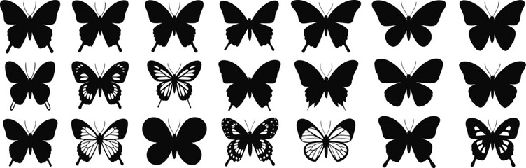 Obraz premium set of butterfly silhouette ,on white background, vector 