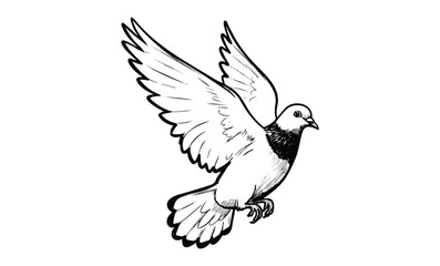 Fototapeta premium Illustration of a flying pigeon with outstretched wings. Vector retro hand drawn illustration