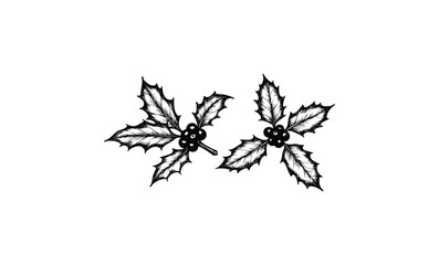 Ink drawing of holly leaves and berries. Vector retro hand drawn illustration