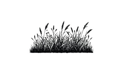 Fototapeta premium Silhouette of wild grasses and weeds isolated. Vector retro hand drawn illustration