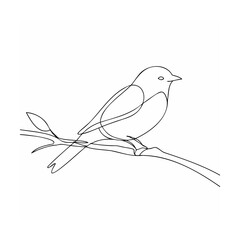 Minimalist bird perched on a branch nature wildlife