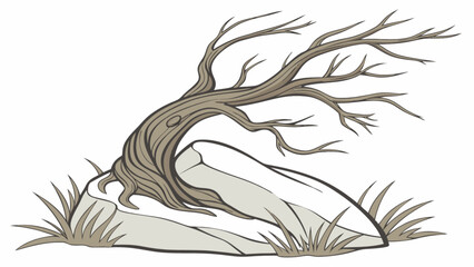 Illustration of a weathered tree growing from a rock with sparse grass around the base shown in detail