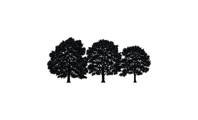 Fototapeta premium Silhouette of three trees. Vector retro hand drawn illustration