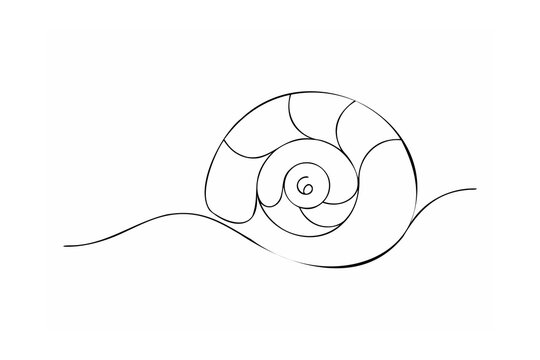 Minimalist spiral shell outline abstract black and white