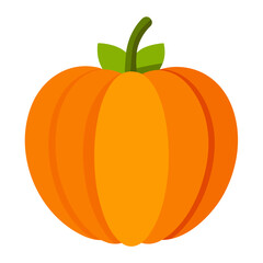 Orange Pumpkin Illustration