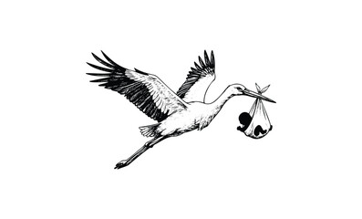Illustration of stork delivering newborn baby in black and white ink style. Vector retro hand drawn illustration
