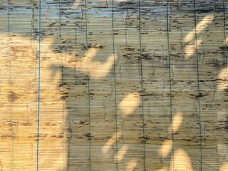Wooden wall with bamboo blinds in the sunlight. Abstract background.