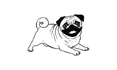 Playful pug sketch with distinctive mustache in black and white. Vector retro hand drawn illustration